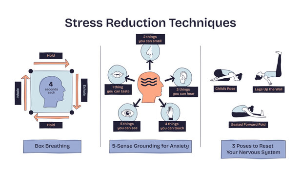 Stress reduction techniques are shown with box breathing, 5-sense grounding, and calming yoga poses as key elements, transparent background. Doodle style diagram