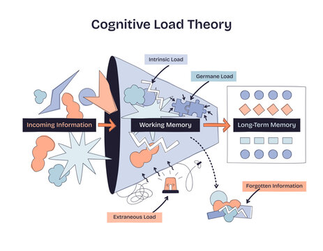 Cognitive Load Theory shows how incoming information is processed in working memory before reaching long-term memory, transparent background. Doodle style diagram