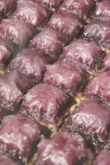 Delicious Turkish dessert squares prepared in a bakery
