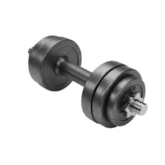 Fototapeta premium Isolated Black Dumbbell Photo Represents Fitness and Weight Training