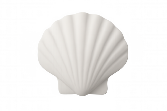 White scallop shell positioned against transparent background, highlighting pristine texture and nautical elegance
