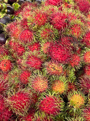fresh rambutan on the market. close up.