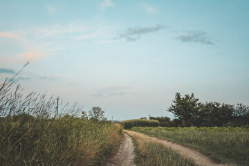Countryside dirt road between green fields and tall grass under a calm summer sky with light clouds...