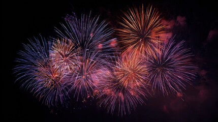 Colorful fireworks exploding in the night sky (1)