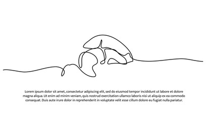 One line of sushi. Abstract minimal continuous line.