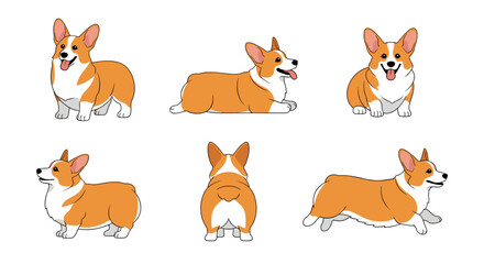 Adorable pembroke welsh corgi dog poses collection showing their unique body shape and characterful expressions