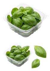 Fresh Basil Leaves in a Transparent Package Isolated on White Background Photo