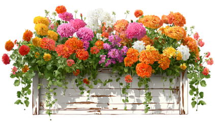  beautiful window box with colorful flowers isolated on a transparent background