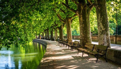 Obraz premium A serene park path lined with lush trees, reflecting in the tranquil water, features park benches inviting relaxation.