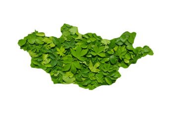 Green Leaf Map Of Mongolia On Transparent Background Isolated Photo