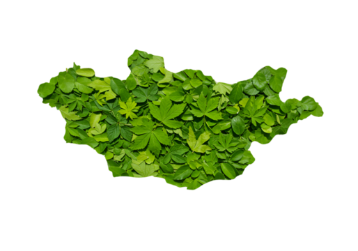 Green Leaf Map Of Mongolia On Transparent Background Isolated Photo