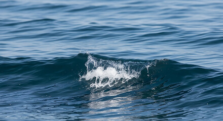 Fototapeta premium Close up of a breaking ocean wave with white foam