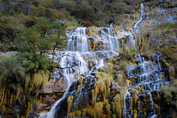 Multi-tiered cascading waterfall with moss flowing down rocky slopes. Dense forest backdrop