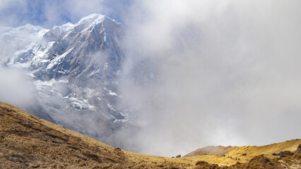 Mt. Annapurna south mountain peak of nepal Himalaya covered in snow under partial cloud cover. Grassland meadow covered in dry grass in foreground.