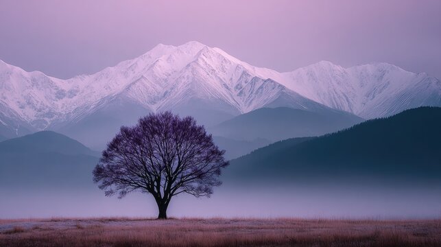 Lone tree silhouetted against a snow-capped mountain range under a hazy purple sky