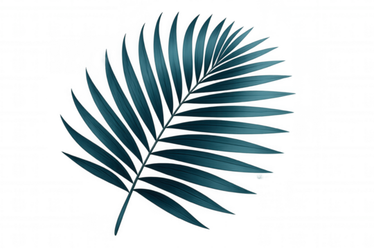 Teal palm leaf floating against transparent backdrop, highlighting botanical elegance with crisp, vibrant tropical aesthetic - Powered by Adobe