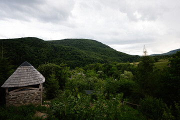 Rustic cabin surrounded by lush greenery under an overcast sky in the mountains