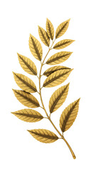 Isolated Golden Leaf Illustration On Transparent Background Digital Image