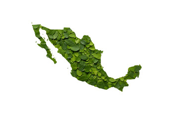 Isolated Green Mexico Map Illustration with Transparent Background