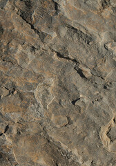 Rock face texture with natural patterns in a neutral color palette. Detailed surface with intricate fissures and variations in shades of gray and brown.