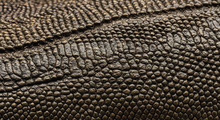 Close-up view of reptile skin texture with a dark brown hue. Detailed pattern of scales/bumps, suitable for showcasing animal skin or leather.