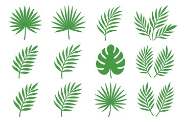 Collection of various green tropical leaf silhouettes on white background