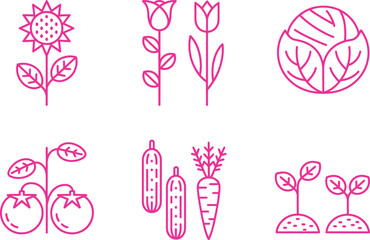 Line Art of Rose, Sunflower, Tomato, Tulip, Cabbage, Cucumber, Carrots, Seedlings