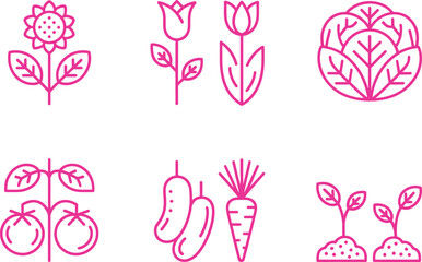 Pink Outlined Vegetables, and Flowers in Minimal Style on Transparent Background