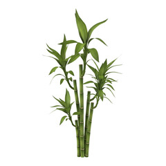 Obraz premium Natural bamboo cup isolated on transparent background