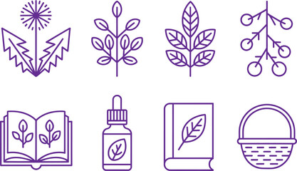 Purple Line Icons Dandelion, Branches, Berries, Book, Bottle, Basket on White