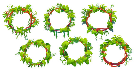 Tropical jungle forest liana vine round frames of branches with green leaves, vector plants. Tropical rainforest liana circle frames of twisted monstera leaf with vine twigs or tendrils of ivy sprouts