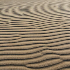 Sand dune texture with wavy patterns. Close-up view of sand dune surface. Natural outdoor scene, no people -