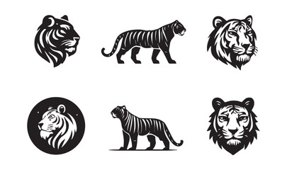 Black and white tiger graphic set with full body and head portraits animal wildlife