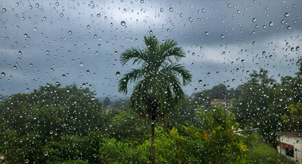 Obraz premium Rain drops on window pane with view of tropical greenery and residential buildings. Rainy day view through a window in a tropical location. Resident observing the rain outside.