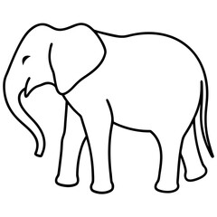 line art vector illustration 