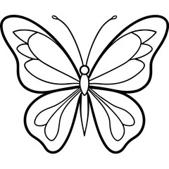 Butterfly line art vector illustration