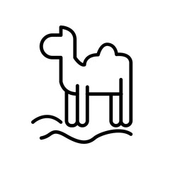 Camel