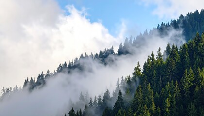 Forest Mountain Range in Thick Cloudscape