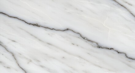 Obraz premium White marble slab with gray veining displays a natural stone texture. Detailed surface pattern perfect for showcasing high-end building materials in a professional setting.