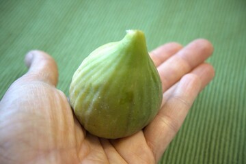 Obraz premium Single fresh fig fruit photographed in close-up on a solid green background. Concept of healthy eating, organic food, Mediterranean diet, and natural produce.