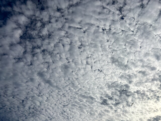 Cloudy Sky with Soft Light in the Afternoon