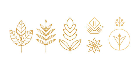 Golden botanical elements minimalist design set featuring leaves,flowers,and abstract shapes for elegant and natural designs
