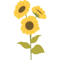Sunflower Vector Illustration