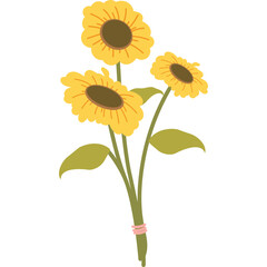 Sunflower Vector Illustration