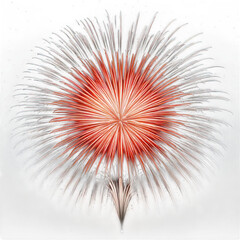 Fireworks burst graphic, isolated white and transparent background.