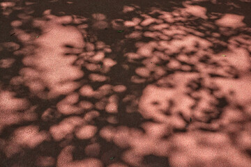 Textured surface with dappled light and shadow patterns resembling organic shapes © Infinitylight