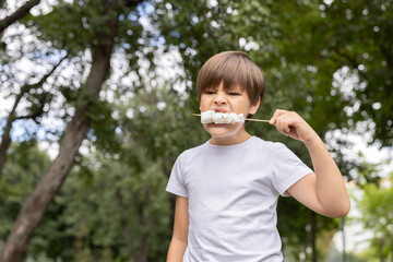 Delight in the Park With a Young Boy Savoring a Delicious Treat on a Stick During a Sunny Day Filled With Joy and Laughter
