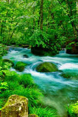 Obraz premium 初夏の奥入瀬渓流・石ケ戸の瀬（青森県・十和田市）