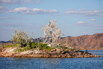 Landscape Scenery of the Australian outback - Lake Argyle.
