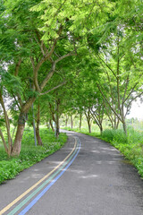 Scenery Track of Chengdu Yushi Wetland Park